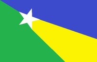 Bandeira do Município de Apuí Bandeira do Município de Apuí