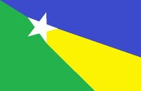 Bandeira do Município de Apuí